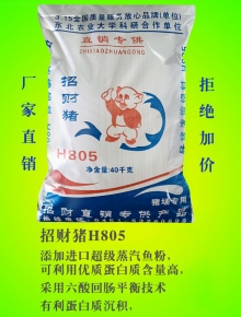 黑龍江招財(cái)豬H805