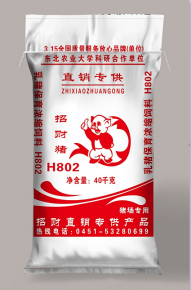 齊齊哈爾招財豬H802