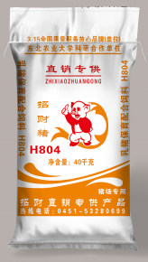 黑龍江招財(cái)豬H804